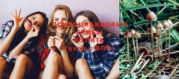 прущая мука Новодвинск