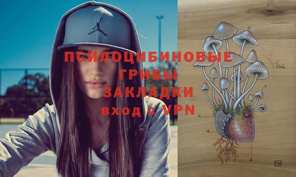 прущая мука Новодвинск