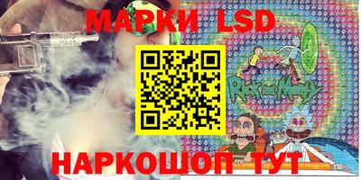 мдпв Кингисепп