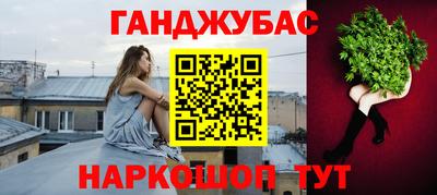 мдпв Кингисепп