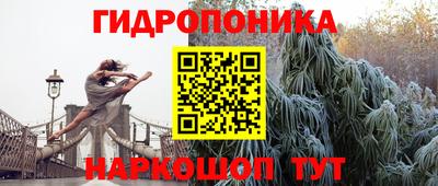 не бодяженный Бийск