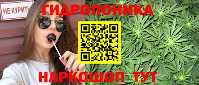 стаф Кимры