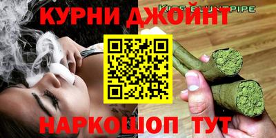 мдпв Кингисепп
