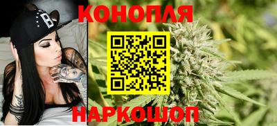 стаф Кимры