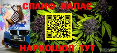 не бодяженный Бийск