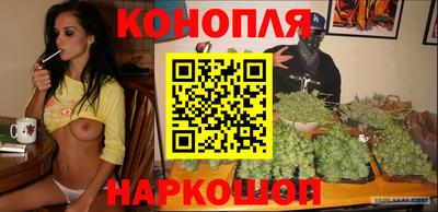 мдпв Кингисепп
