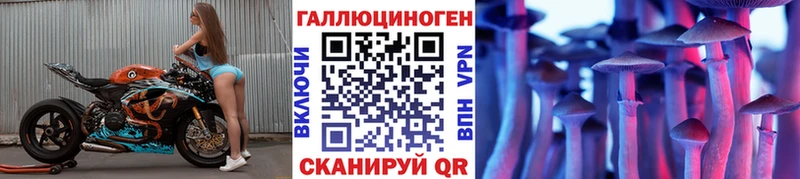 Псилоцибиновые грибы Psilocybine cubensis Краснознаменск