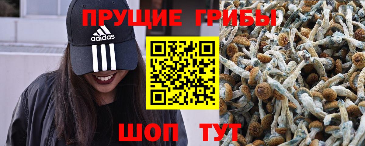 Галлюциногенные грибы прущие грибы  Галлюциногенные грибы мухоморы  Краснознаменск  Вход с VPN 
