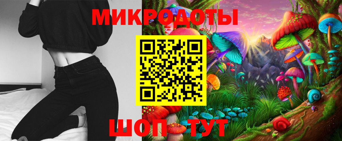 Псилоцибиновые грибы Psilocybe  Краснознаменск 